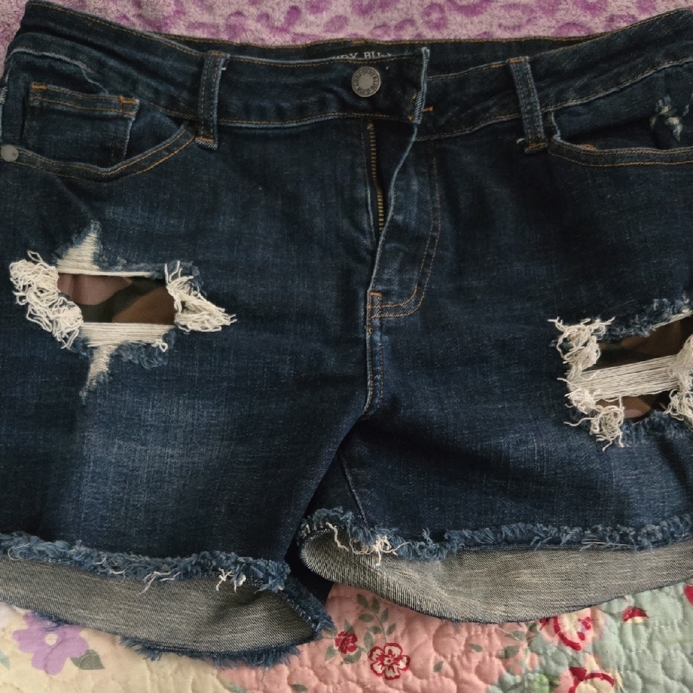 Judy Blue Distressed Jean Shorts with Raw Hem